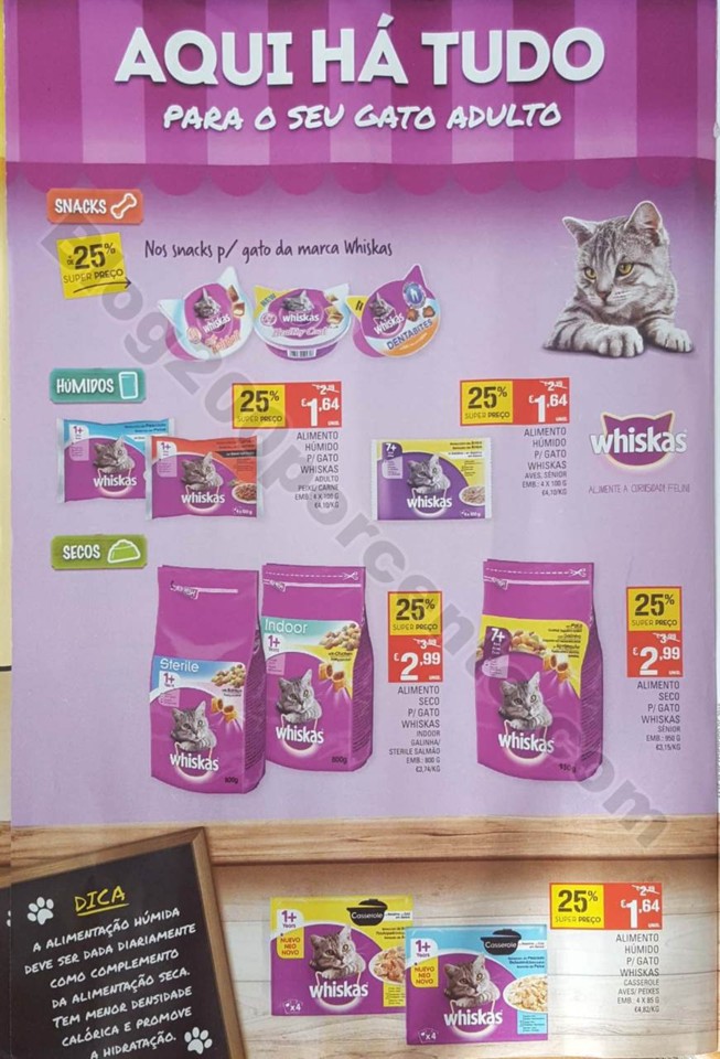 pets 16 janeiro (7).jpg