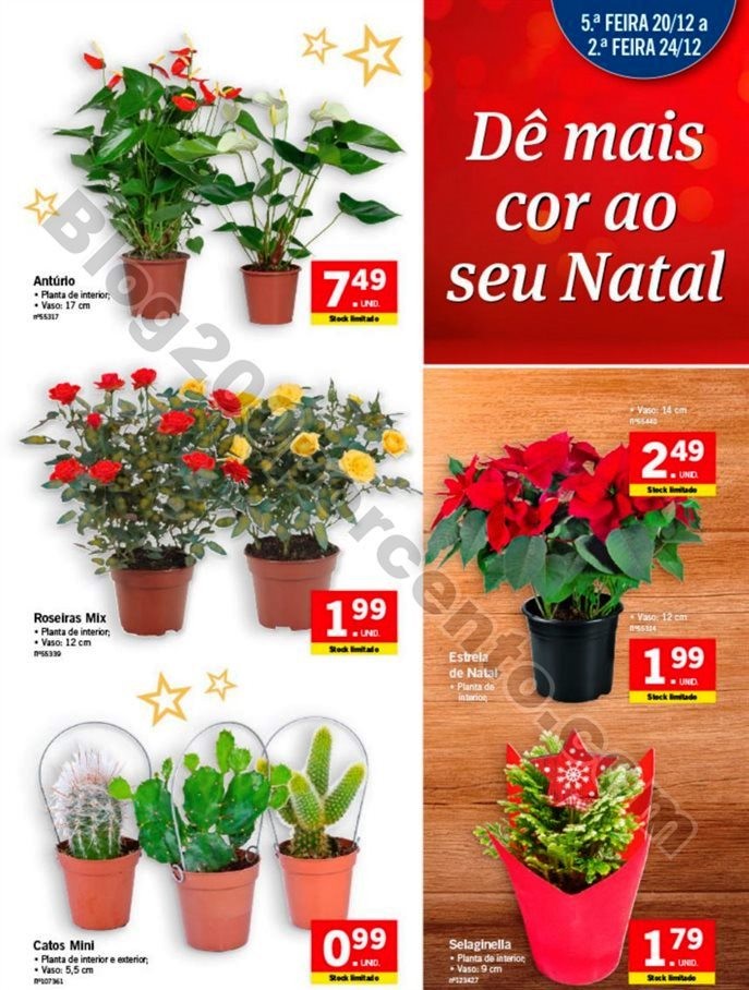 Antevisão Folheto LIDL Fim de semana 20 a 24 deze