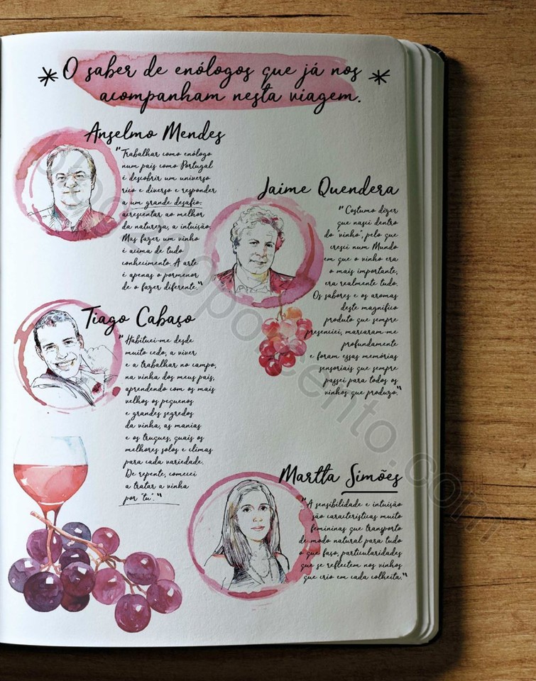 Novo Folheto PINGO DOCE Vinhos &amp; Sabores promoçõ