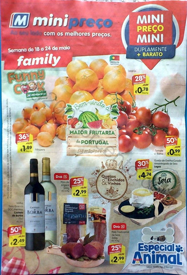 mini Family 18 maio_1.jpg