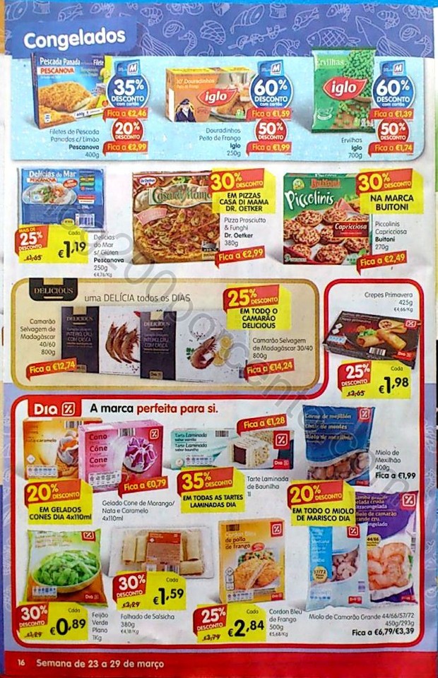 MP 23 marco family_16.jpg