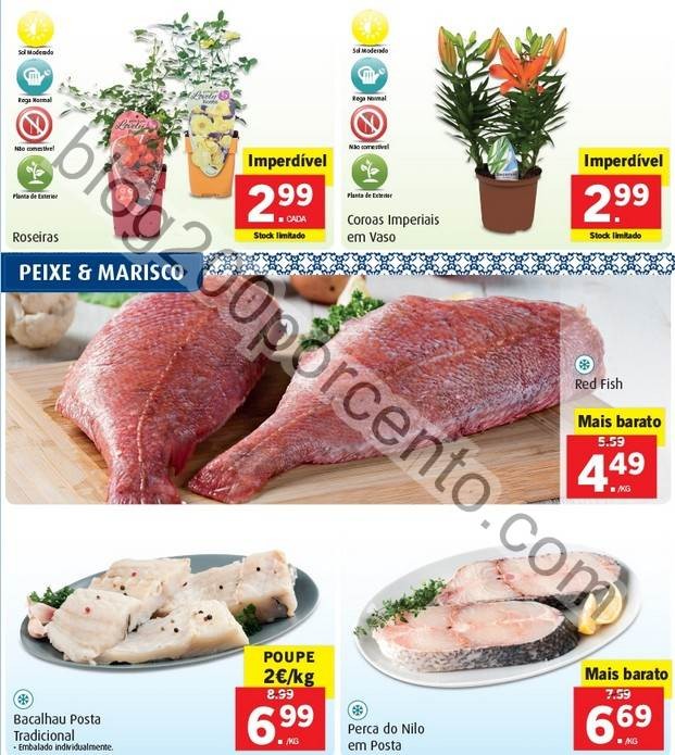 Promoções-Descontos-22824.jpg