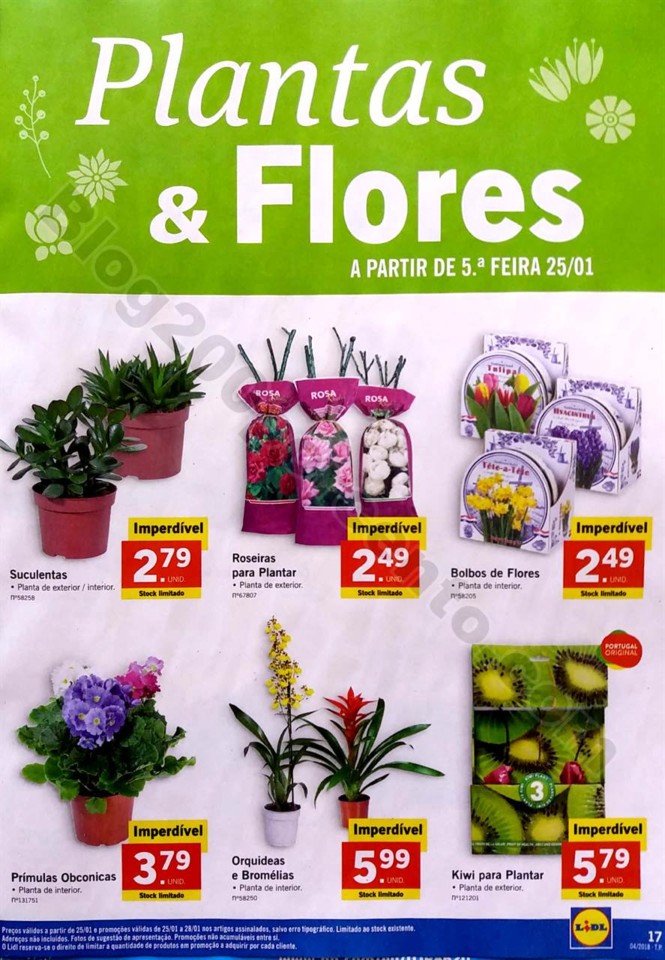 lidl 22 janeiro_17.jpg