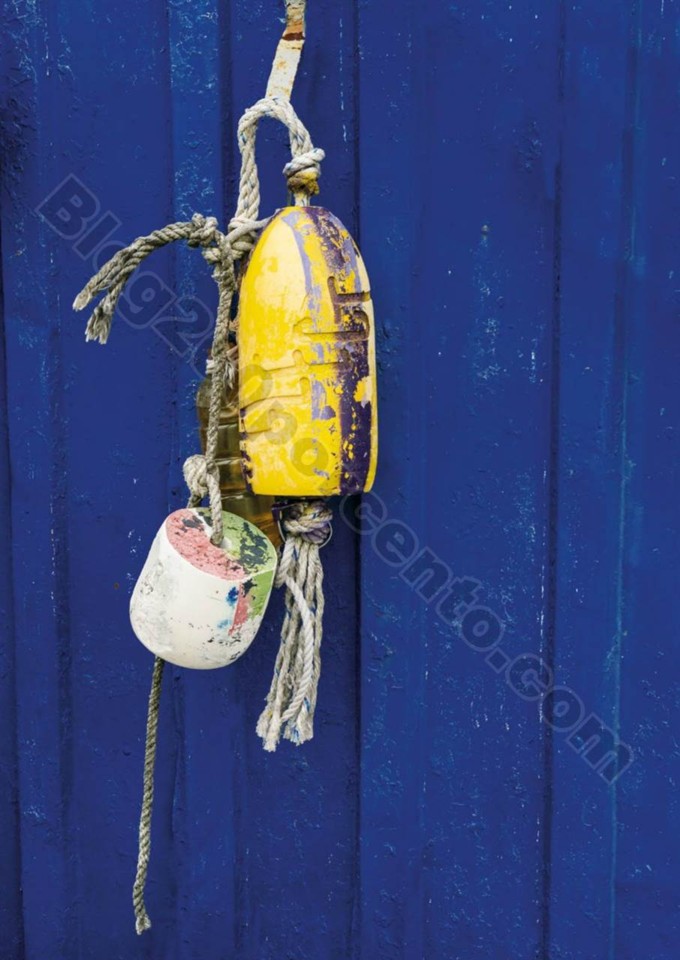 Antevisão Folheto PINGO DOCE - SPOT Primavera - V