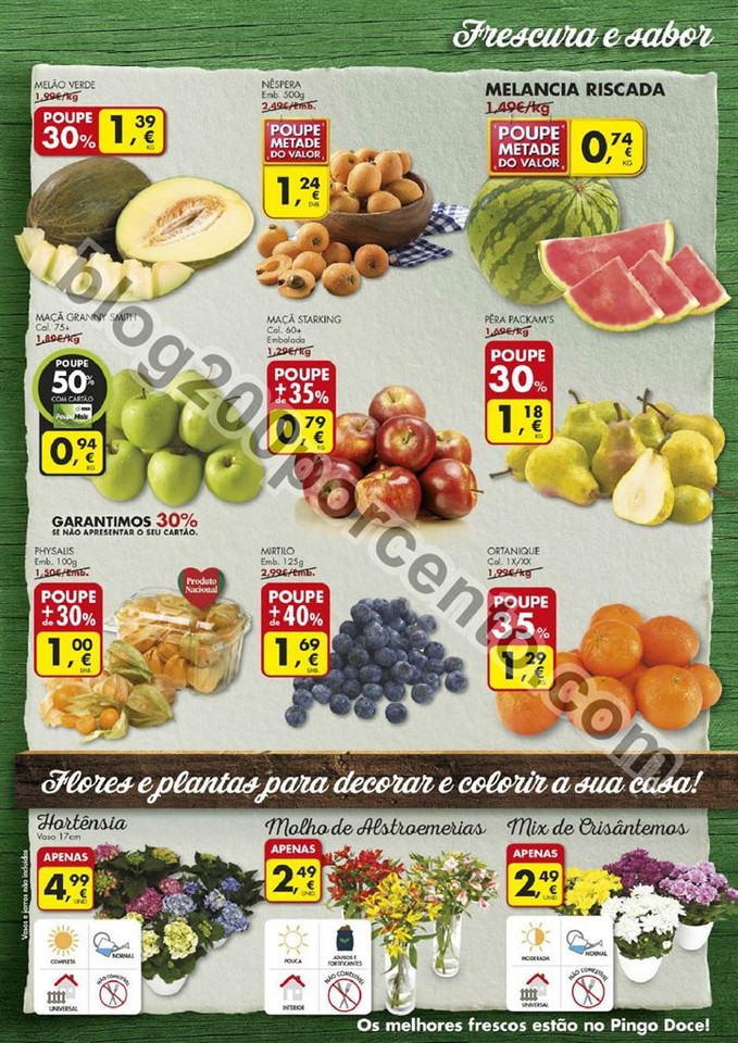 Antevisão Folheto PINGO DOCE Super de 10 a 16 mai