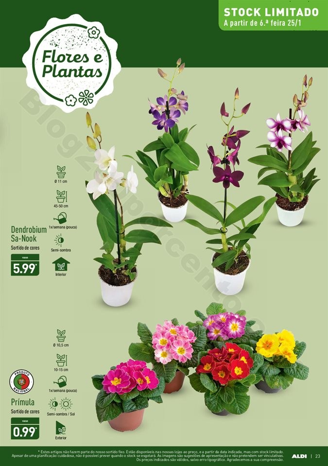 Antevisão Folheto ALDI Promoções a partir de 23