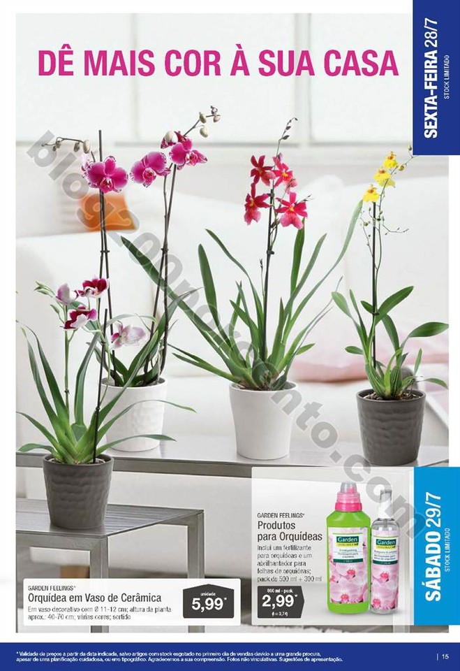 Antevisão Folheto ALDI Promoções a partir de 26