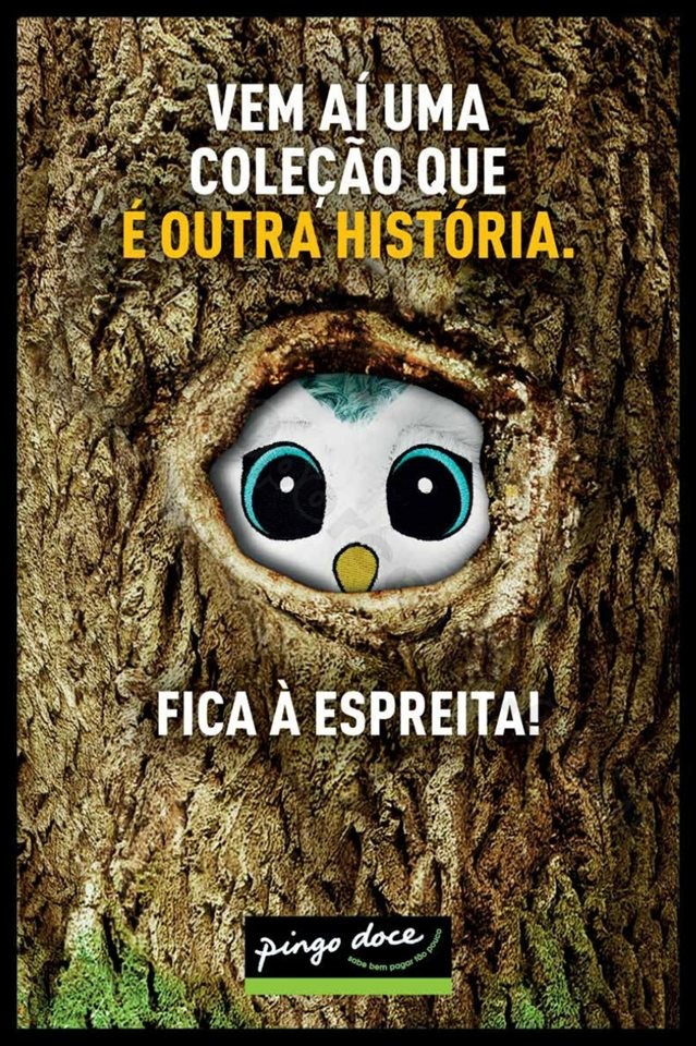 Antevisão Folheto PINGO DOCE Madeira Promoções 