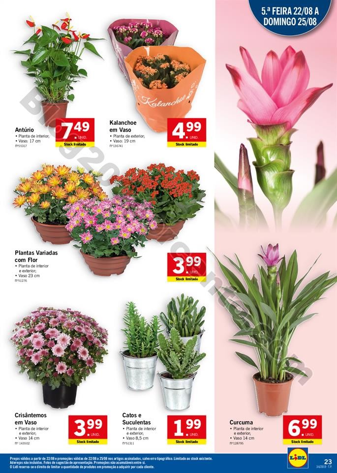 Antevis_o_Folheto_LIDL_Promo_es_a_partir_de_19_ago