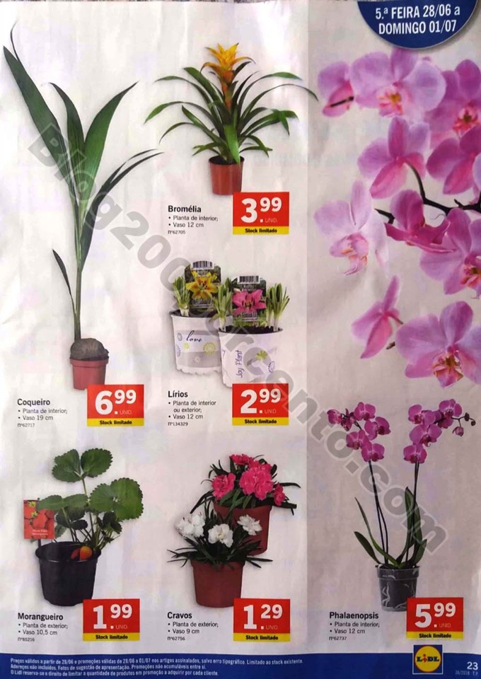 folheto lidl 25 junho_23.jpg
