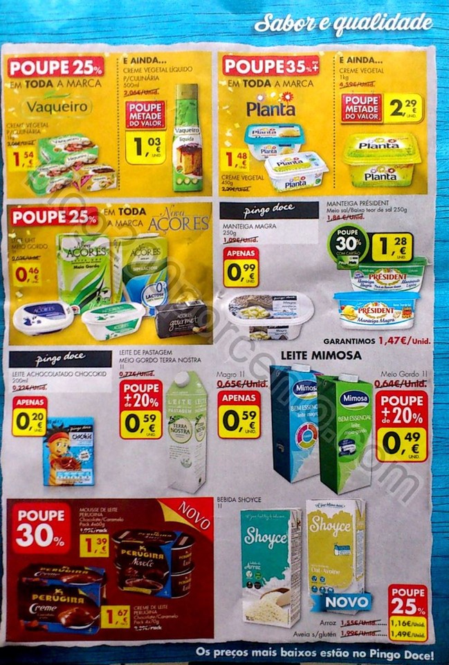 pingo doce senanal_15.jpg