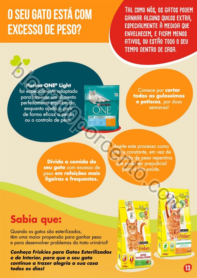 pingo doce pets 14.jpg