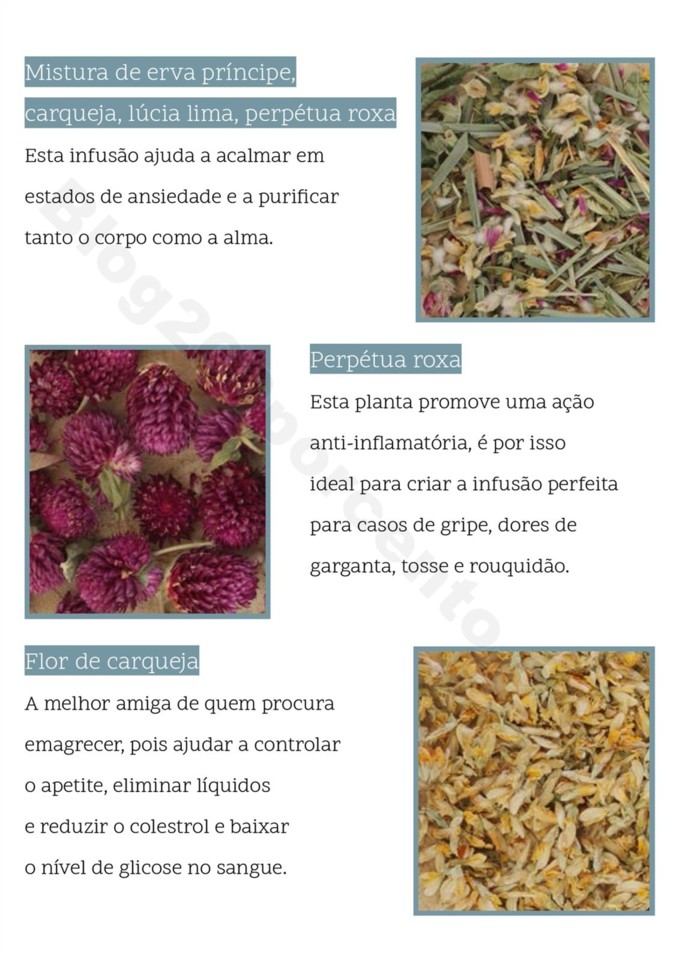 Antevisão Folheto JUMBO Bazar promoções até 5 