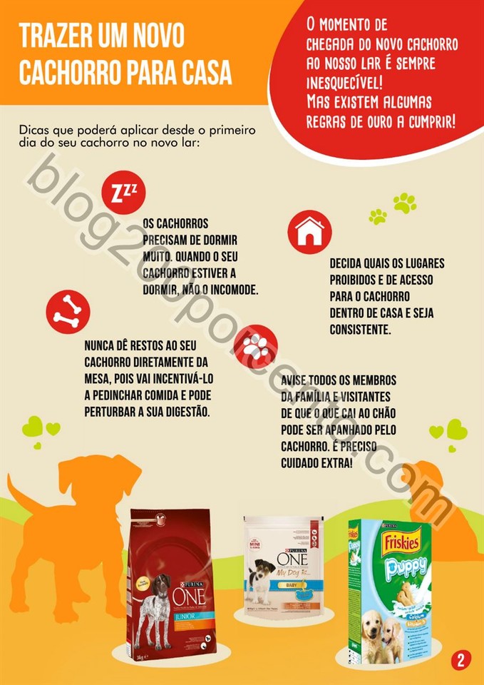 pingo doce pets 3.jpg
