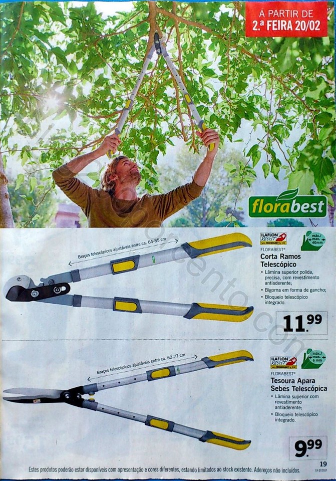 lidl extra 16 fev_19.jpg