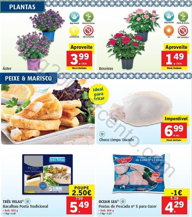 Promoções-Descontos-24899.jpg