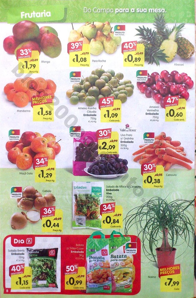 01 minipreco family 60_8.jpg