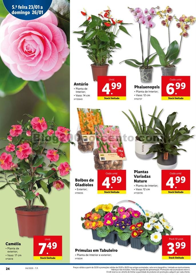 Antevisão Folheto LIDL Promoções de 20 a 26 jan
