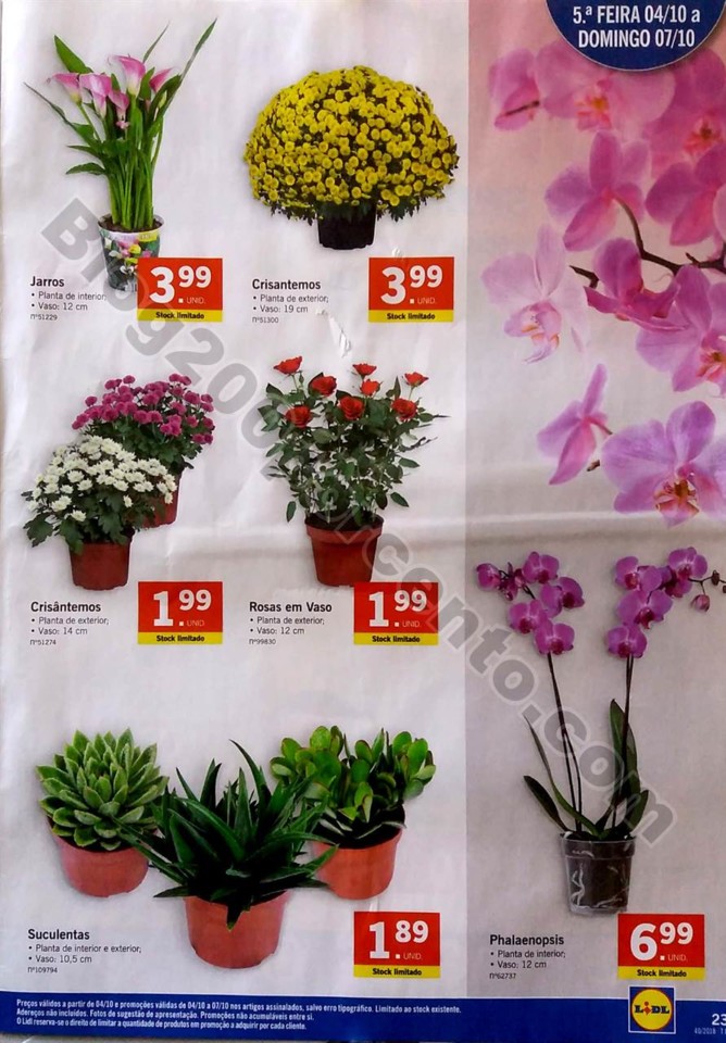 antevisao lidl 1 a 7 outubro_23.jpg