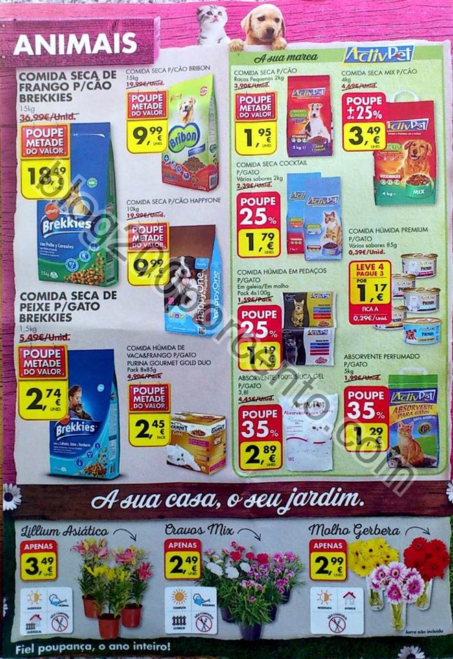 folheto pingo doce 28 junho_22.jpg