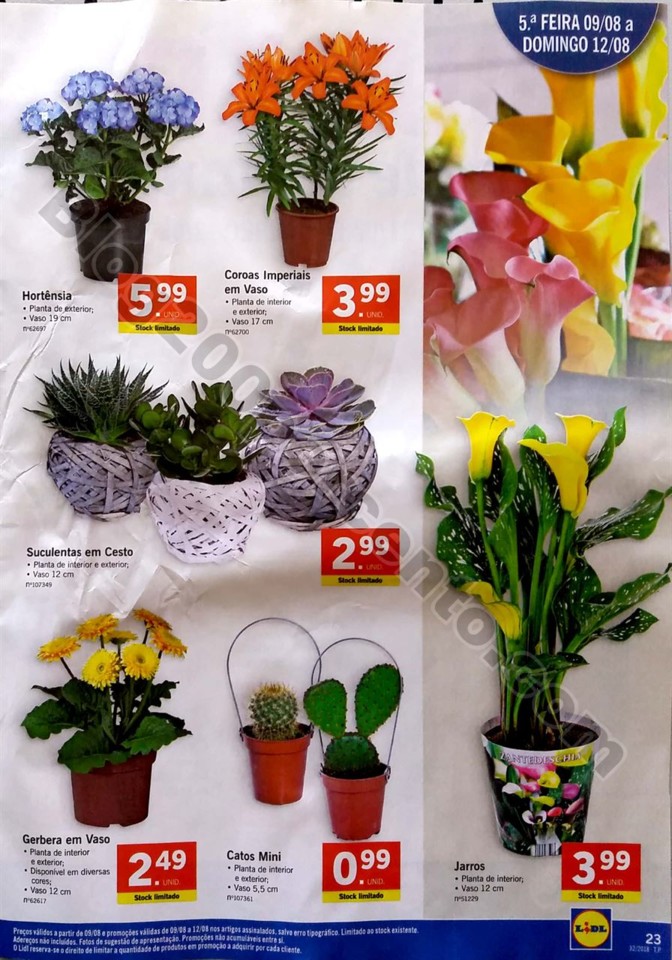 folheto lidl 6 a 12 agosto_23.jpg