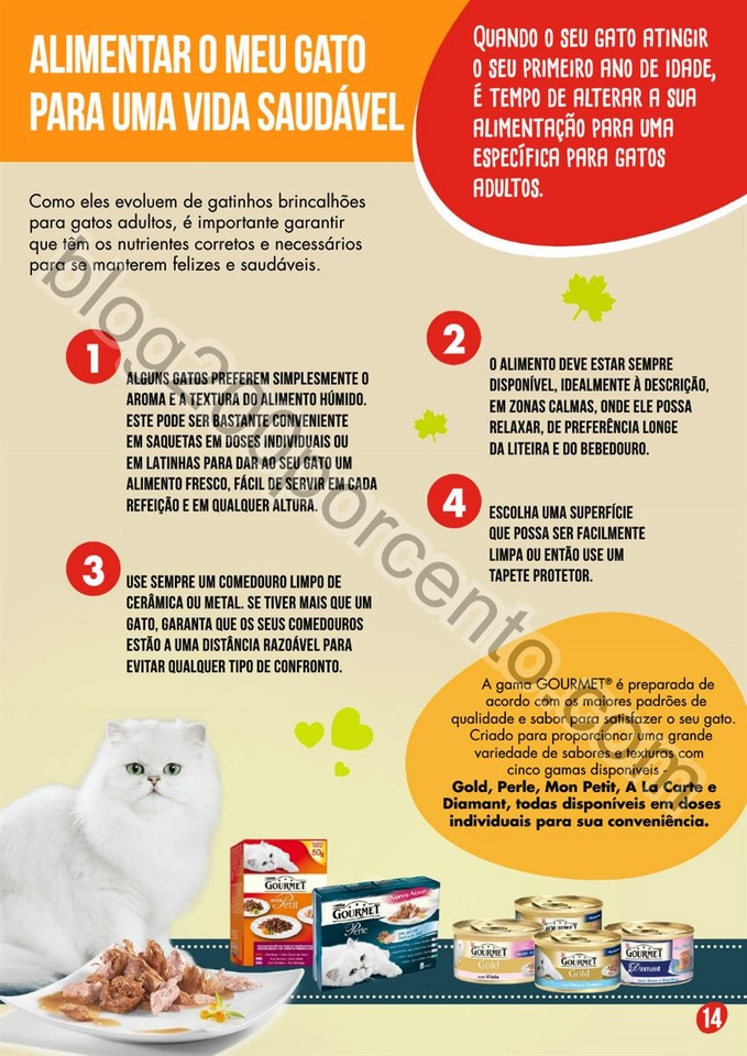 pingo doce pets 15.jpg