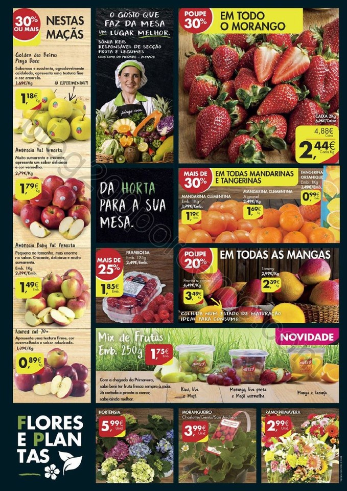 Antevisão Folheto PINGO DOCE Super promoções de