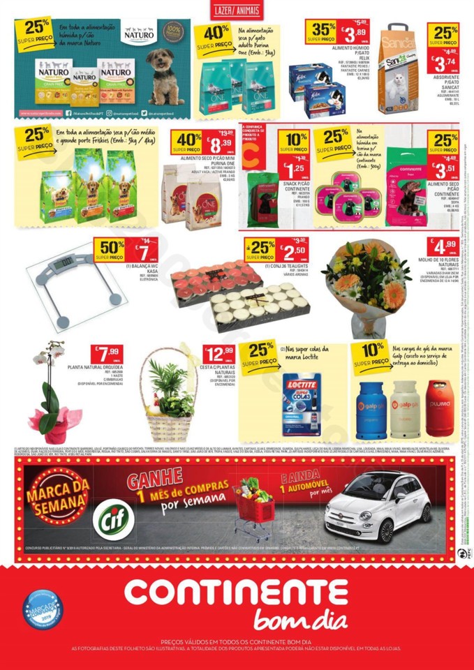 Bom Dia 9 a 15 abril p16.jpg