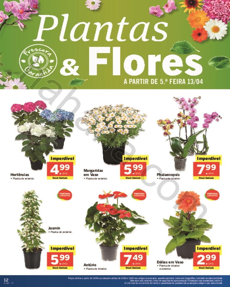 Promo_es_v_lidas_a_partir_de_13_04_2017_Mais_para_