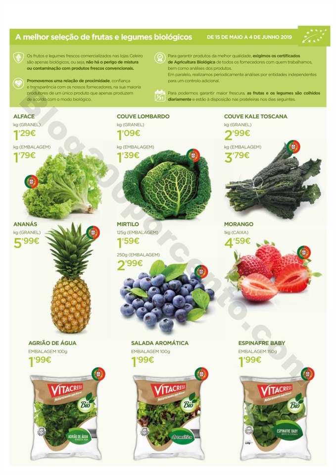 Folheto Verão - FINAL baixa _004.jpg