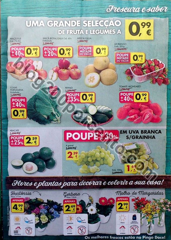 pingo doce 3 a 9 maio_5.jpg