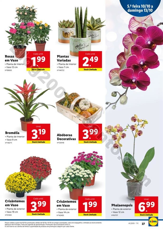 Antevisão Folheto LIDL Promoções de 7 a 13 outu