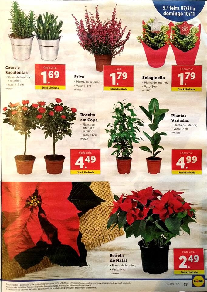 Lidl 4 a 11 novembro_23.jpg