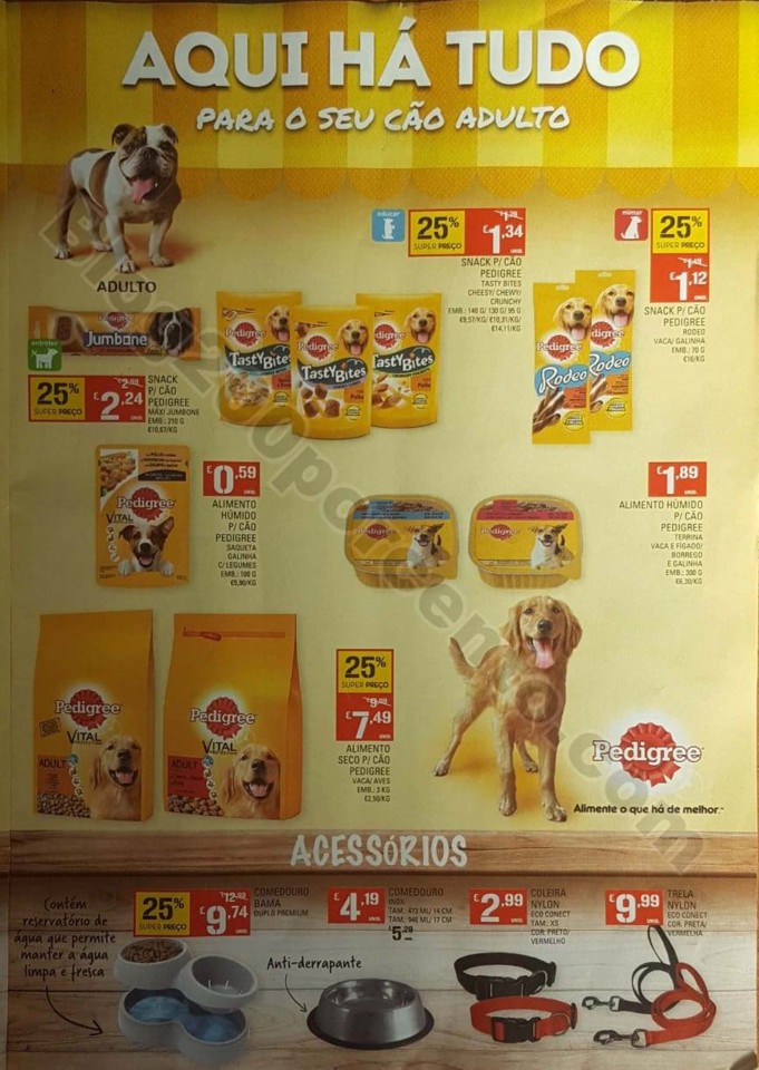 pets 16 janeiro (4).jpg