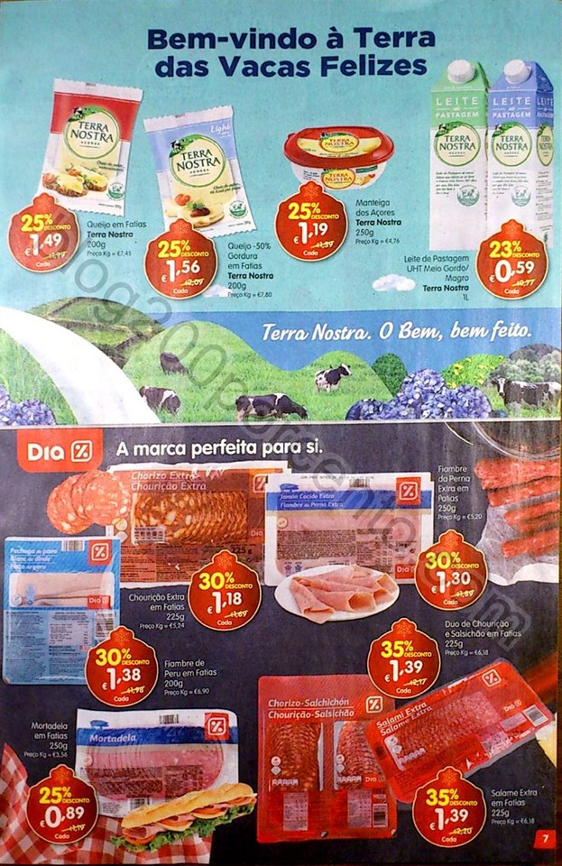 mini Family nn_7.jpg