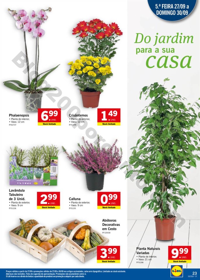 01 lidl 24 a 30 setembro_000 (23).jpg