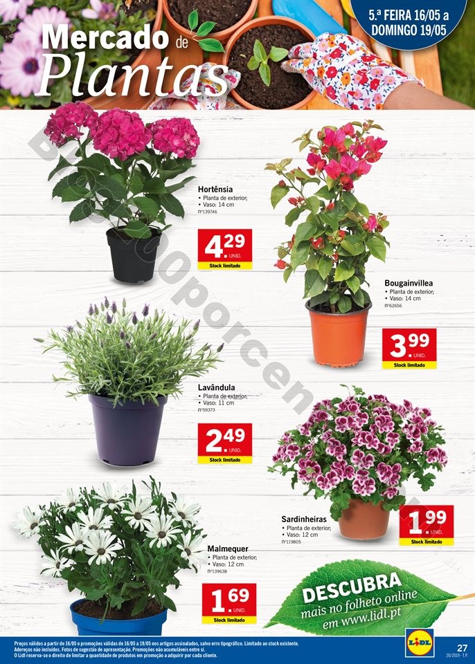 lidl 13 a 19 maio_026.jpg