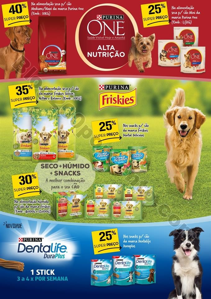 01 23 a 29 julho pets p4.jpg