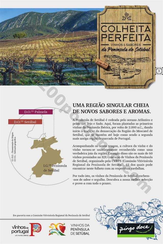 Antevisão Folheto PINGO DOCE Extra Vinhos Promoç