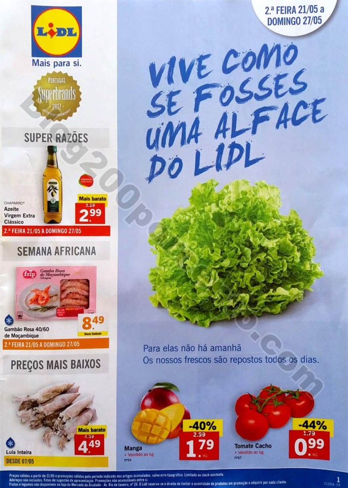 folheto 21 a 27 maio lidl_1.jpg