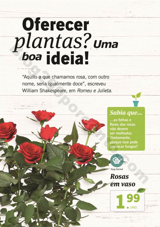plantas_05_maio_009.jpg