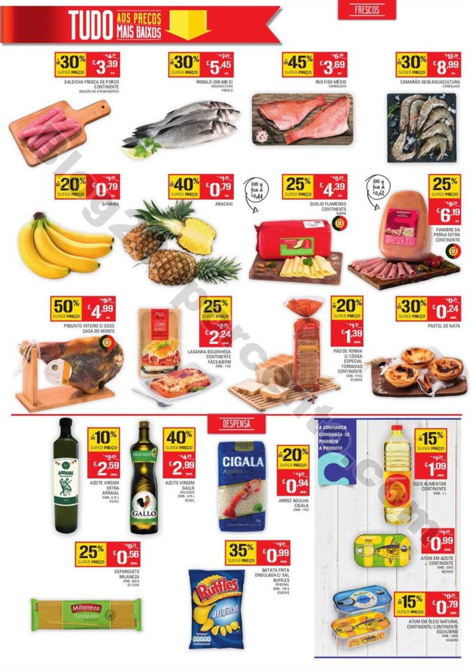 Abertura beja p2.jpg