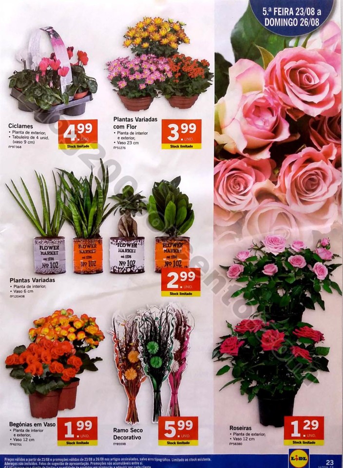 lidl Brasil a partir de 20 agosto_23.jpg