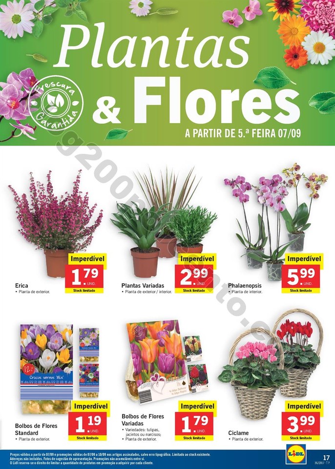 Promo_es_v_lidas_a_partir_de_07_09_2017_Mais_para_