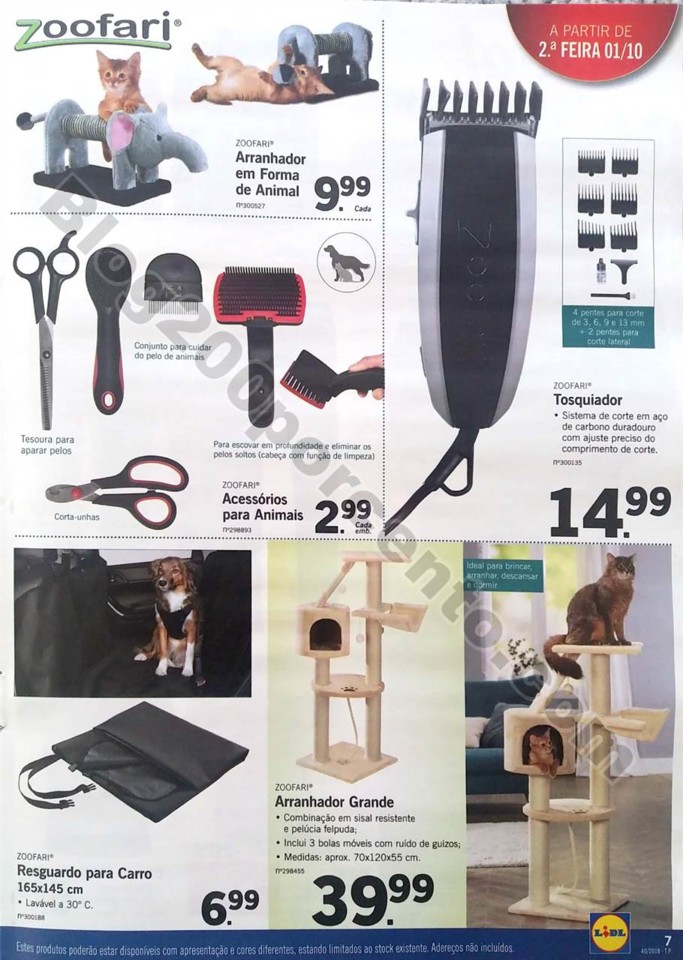 lidl bazar 1 e 4 outubro_7.jpg