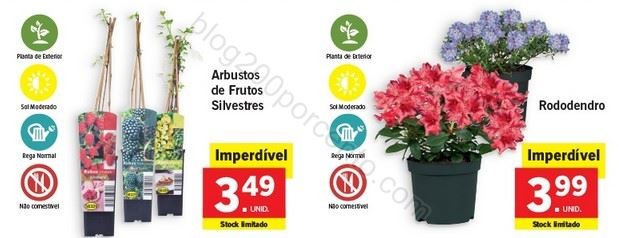Promoções-Descontos-27314.jpg