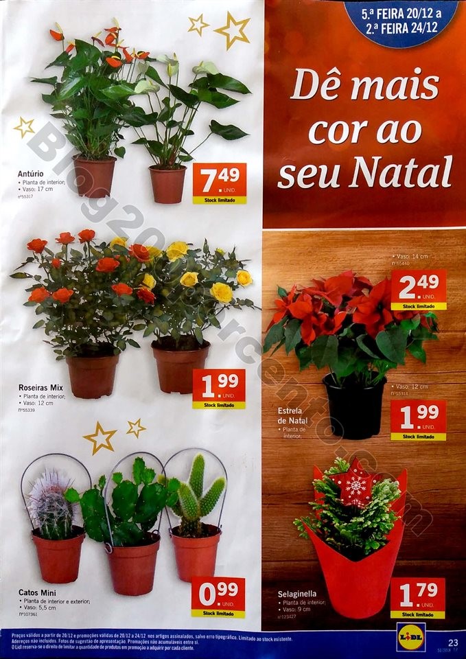 lidl natal 17 a 24 dezembro_23.jpg