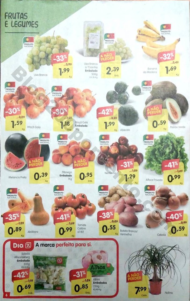 minipreco family 6 a 12 setembro_6.jpg