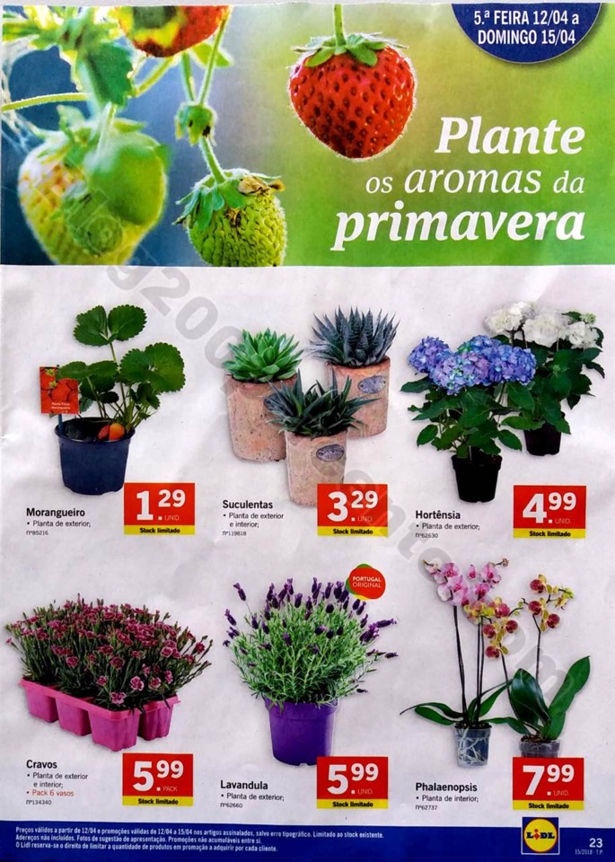 lidl especial ilhas 9 a 15 abril_23.jpg