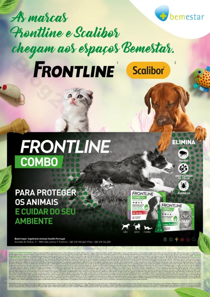 Antevisão Folheto PINGO DOCE Bem Estar Primavera 